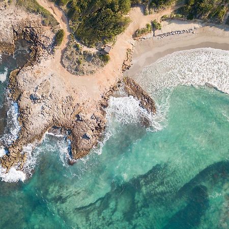 Can Colometa Alcudia  Dış mekan fotoğraf